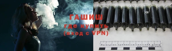 гидра Дмитров