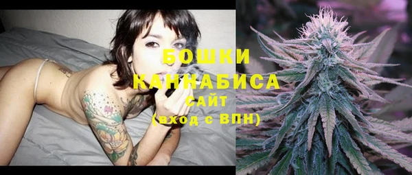 гидра Дмитров