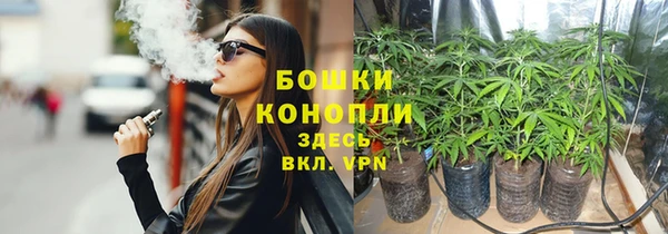гидра Дмитров