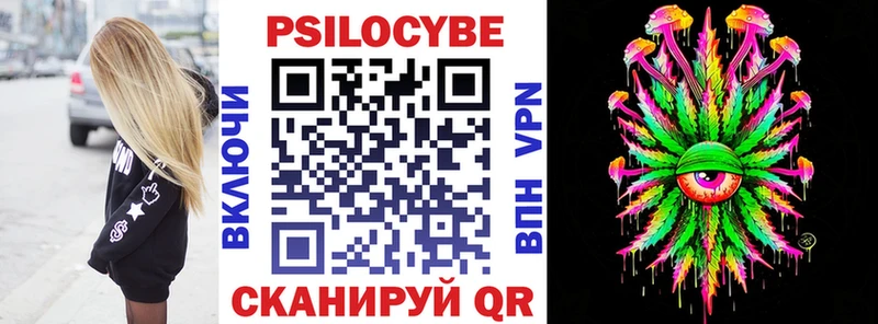 Псилоцибиновые грибы Psilocybe  Купить где  Кирс 